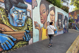 Peru_and_Bolivia_2025 (18/66)